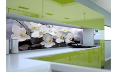 Fototapeta do kuchni WHITE ORCHIDEA