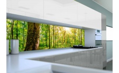 Panel szklany do kuchni GREEN FOREST SUN hartowany